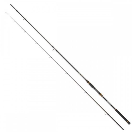 Εικόνα της Bg Seabass 1002HXHFS 3.05m 14-56gr