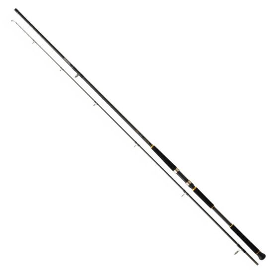 Εικόνα της Legalis Shore Jigging SJ962 2.90MT 28-84gr