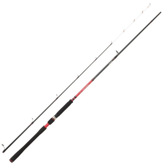 Εικόνα της Καλάμι Daiwa Powermesh Tenya 2.40M 20-70gr