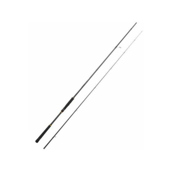 Εικόνα της Triplecross Shore Jigging TCX-1002HH