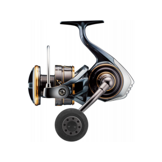 Εικόνα της Caldia Sw 8000-H