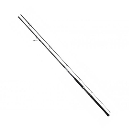 Εικόνα της Καλάμι Daiwa Shore Spartan Coastal