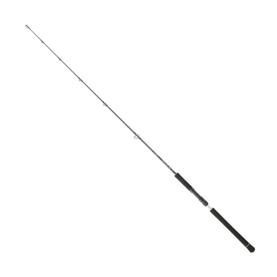 Εικόνα της Καλάμι Daiwa Legalis Jigging 2023