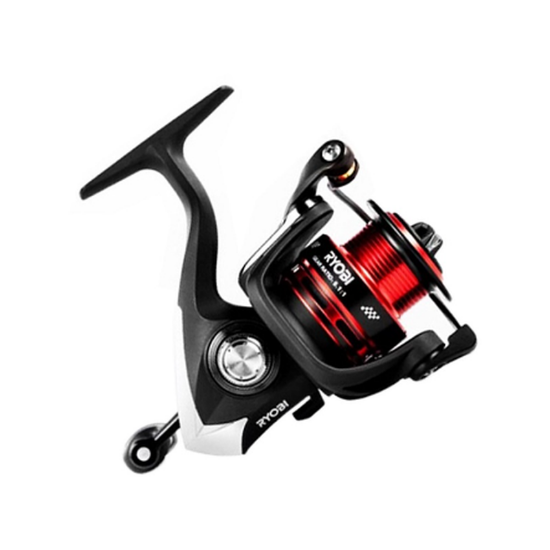 Εικόνα της Smap 2000