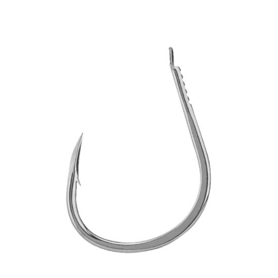 Εικόνα της Gaff-R #1/0