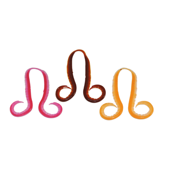 Εικόνα της Tiger Baku Baku 05J