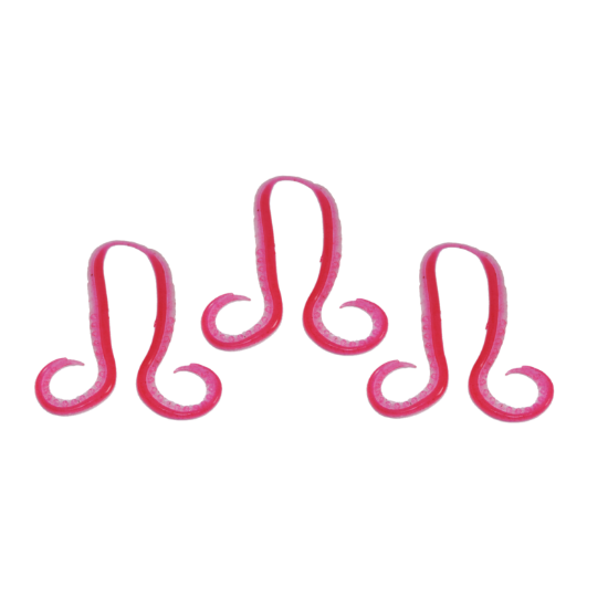 Εικόνα της Tiger Baku Baku 11J