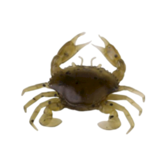 Εικόνα της Manic Crab #TAN CRAB