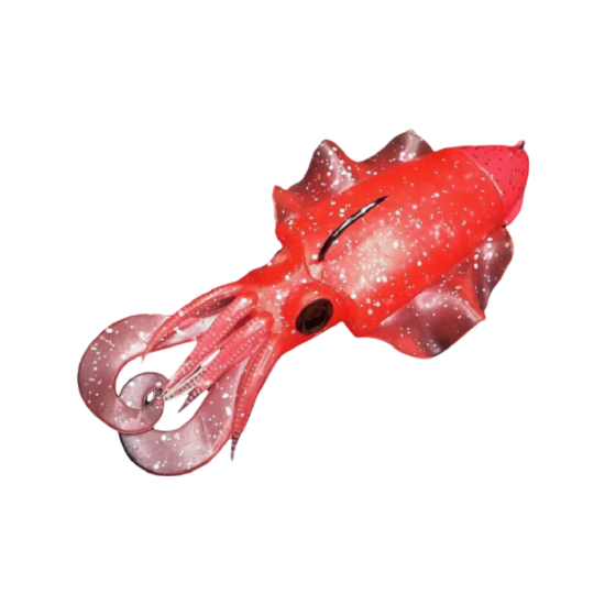 Εικόνα της Xoco Combo 120gr #3 Red Shiny