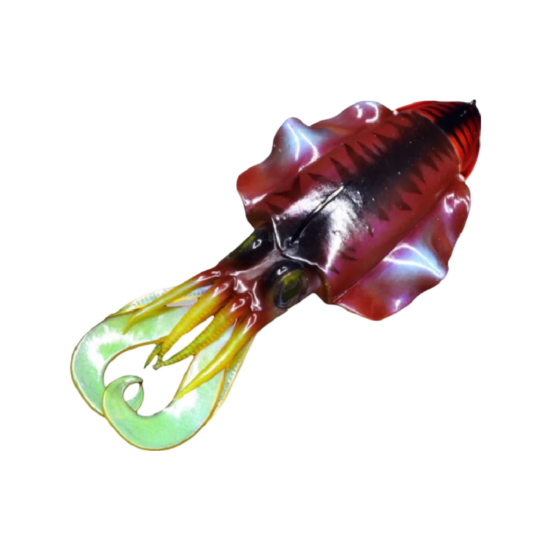 Εικόνα της Xoco Combo 120gr #1 Natural