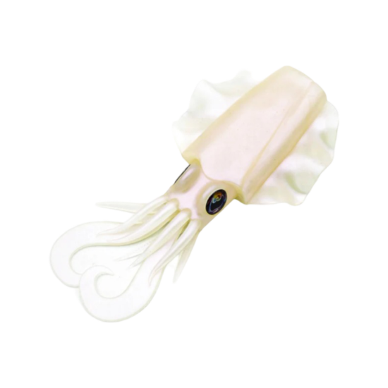 Εικόνα της Xoco Body Replacement #2 Pink Flashes