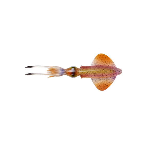 Εικόνα της 3d Lb Swim Squid 11gr #Horny Squid
