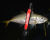 Εικόνα της Magbite Σιλικόνη Mbw09 Amino Mushi
