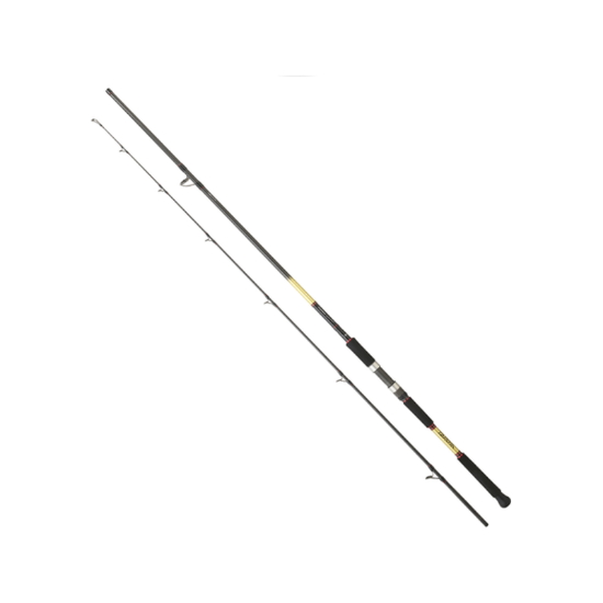 Εικόνα της Καλάμι Daiwa Grandwave Shore Jigging 2024