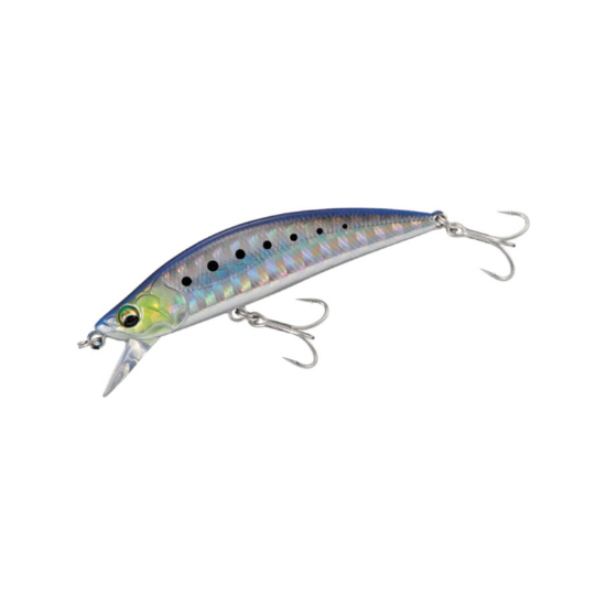 Εικόνα της Eden 60 SW #002 Iwashi